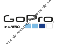 GoPro, Официальный представитель в России (ООО Восход групп)
